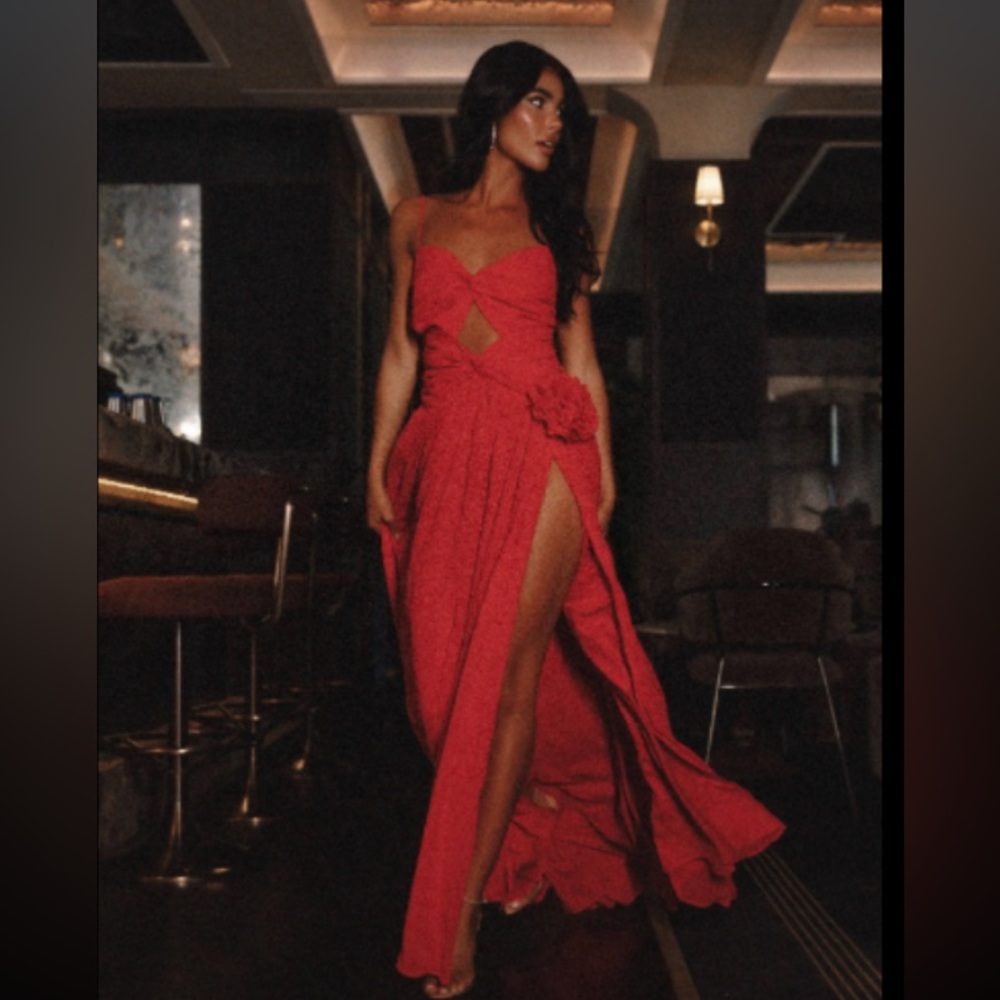 Nwt petal and pup red maxi dress size medium